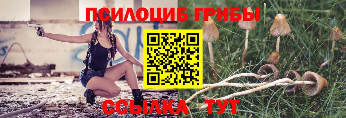Псилоцибиновые грибы Psilocybine cubensis  Вход с VPN  Подольск 